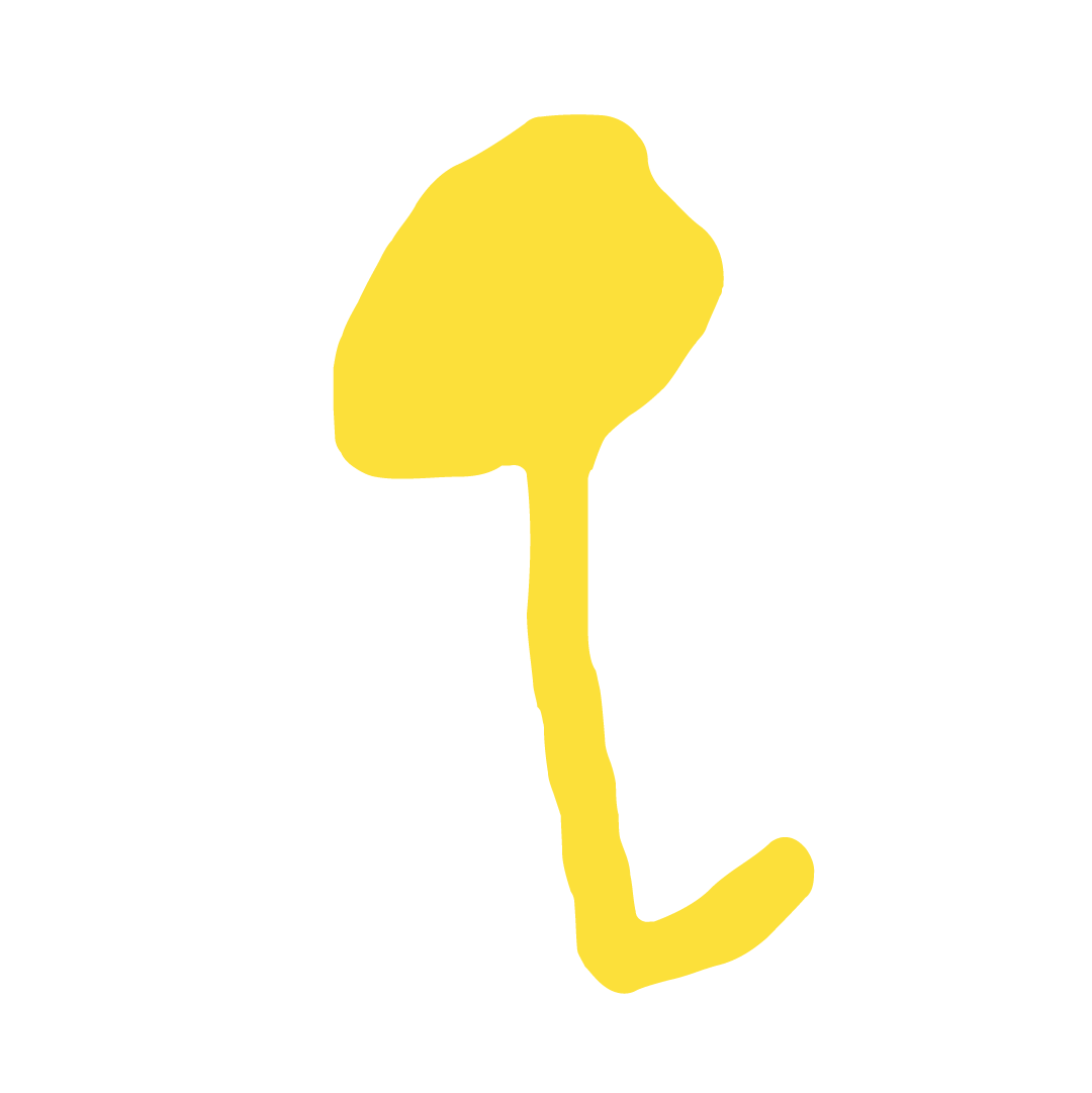 Quicky Cuts test logo